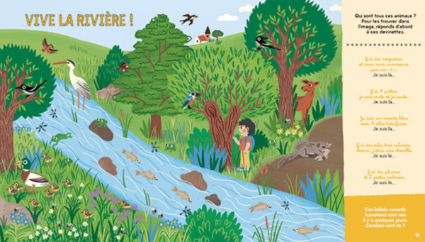 CHERCHE ET TROUVE DE LA PETITE SALAMANDRE – Image 3