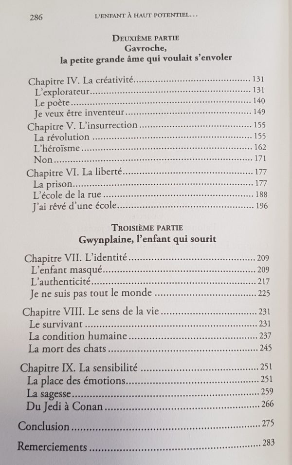 L'ENFANT A HAUT POTENTIEL EST UN ENFANT COMME LES AUTRES – Image 3