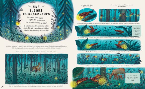 LES SECRETS DE LA NATURE... TOUT PRES DE TOI - NOUVELLES HISTOIRES MERVEILLEUSES – Image 3