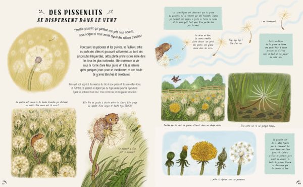 LES SECRETS DE LA NATURE... TOUT PRES DE TOI - NOUVELLES HISTOIRES MERVEILLEUSES – Image 4