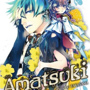 AMATSUKI T22