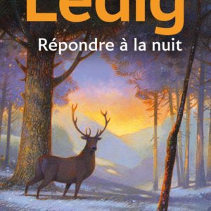 REPONDRE A LA NUIT