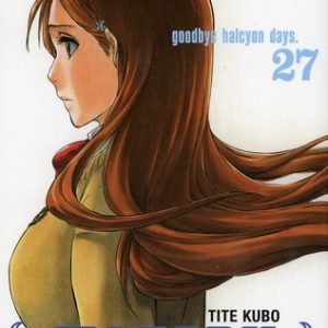 BLEACH - TOME 27 - GOODBYE HALCYON DAYS