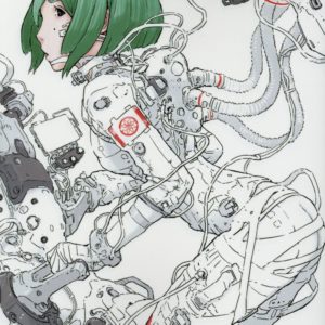 KNIGHTS OF SIDONIA - TOME 12