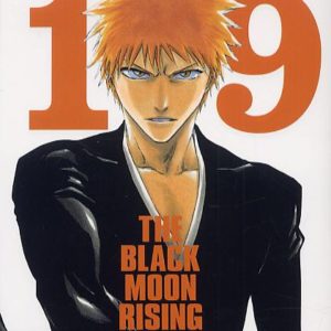 BLEACH - TOME 19 - THE BLACK MOON RISING