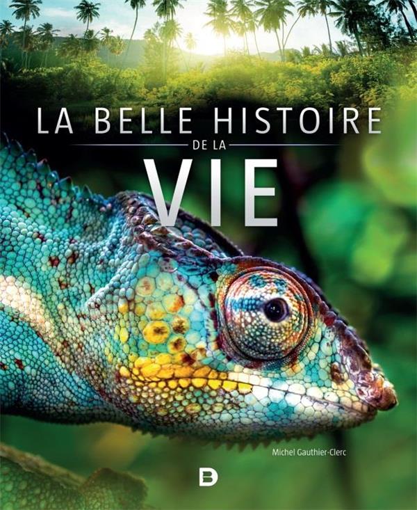 LA BELLE HISTOIRE DE LA VIE