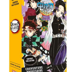 COFFRET DEMON SLAYER T15 + ROMAN JEUNESSE T06