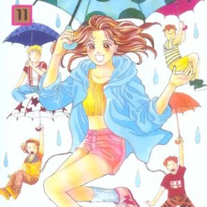 HANA YORI DANGO - TOME 11