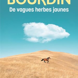 DE VAGUES HERBES JAUNES