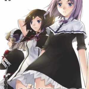 BRYNHILDR IN THE DARKNESS T17