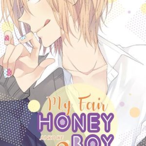 MY FAIR HONEY BOY - TOME 2 - VOL02