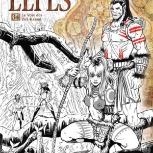 LES TERRES D'ARRAN - ELFES - ELFES T34 - LA VOIE DES ZUL-KASSAI