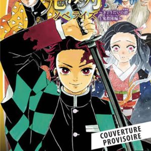 DEMON SLAYER - ROMAN JEUNESSE T02