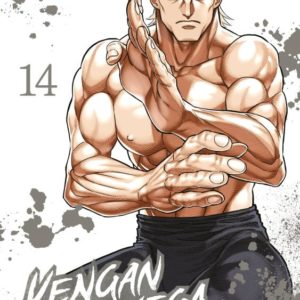 KENGAN OMEGA - TOME 14