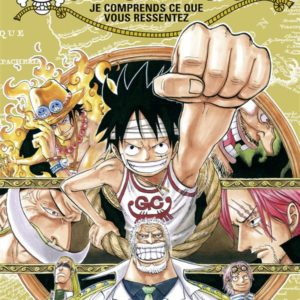 ONE PIECE - EDITION ORIGINALE - TOME 45 - JE COMPRENDS CE QUE VOUS RESSENTEZ