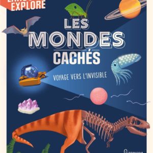 LES MONDES CACHES - VOYAGE VERS L'INVISIBLE