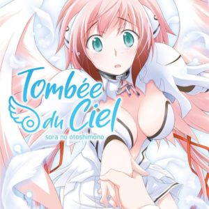 TOMBEE DU CIEL - TOME 20