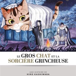 GROS CHAT ET LA SORCIERE GRINCHEUSE (LE) - T04 - LE GROS CHAT ET LA SORCIERE GRINCHEUSE - VOL. 04