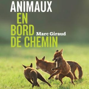 LES ANIMAUX EN BORD DE CHEMIN
