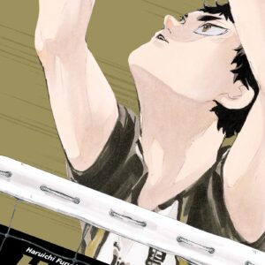 HAIKYU !! - LES AS DU VOLLEY - HAIKYU!! T09 SMASH EDITION