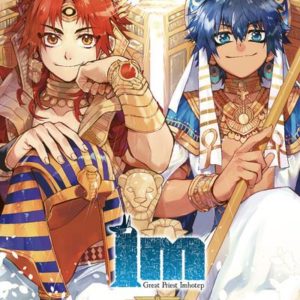 IM T11 - VOL11