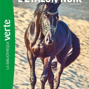 L'ETALON NOIR - T09 - L'ETALON NOIR 09 NED - LE SECRET DE L'ETALON NOIR