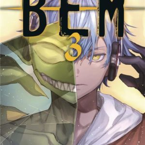 BEM T03