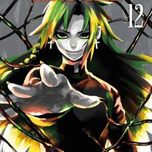 SILVER WOLF BLOOD BONE - TOME 12 - VOL12
