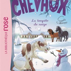 MES AMIS LES CHEVAUX - SOPHIE THALMANN - T25 - MES AMIS LES CHEVAUX 25 - LA TEMPETE DE NEIGE