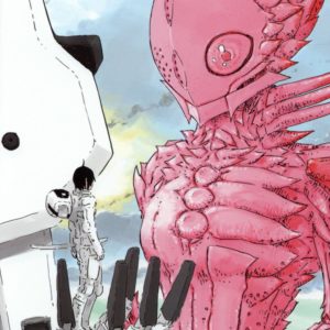 KNIGHTS OF SIDONIA - TOME 13