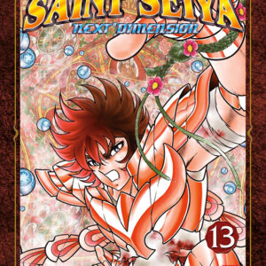 SAINT SEIYA NEXT DIMENSION T13