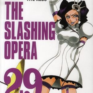 BLEACH - TOME 29 - THE SLASHING OPERA