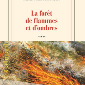 LA FORET DE FLAMMES ET D'OMBRES