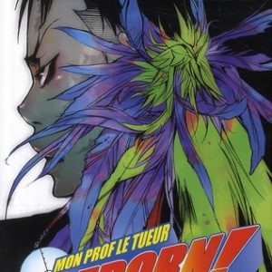 REBORN - TOME 13 - LE GARDIEN DU BROUILLARD DEBARQUE !