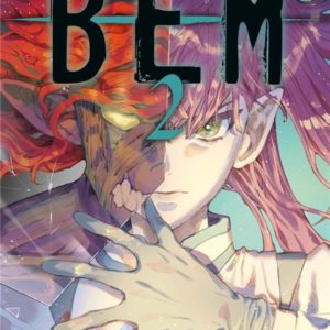 BEM T02
