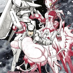 KNIGHTS OF SIDONIA - TOME 08