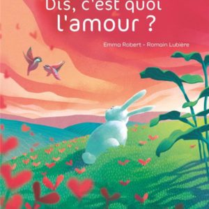 DIS, C'EST QUOI L'AMOUR ?