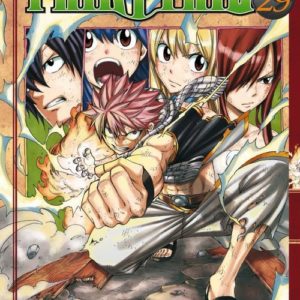 FAIRY TAIL T29