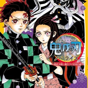 DEMON SLAYER - ROMAN JEUNESSE N 09: LA BATAILLE FINALE ET LE REVEIL DE NEZUKO