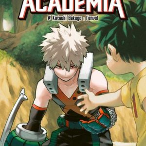 MY HERO ACADEMIA T29 - VOL29