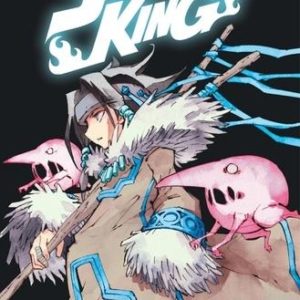 SHAMAN KING STAR EDITION - TOME 4