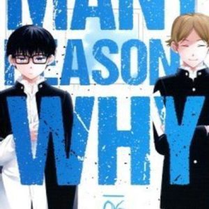 MANY REASONS WHY - TOME 6 (VF)