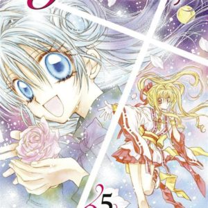 KAMIKAZE KAITO JEANNE - TOME 05