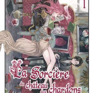 LA SORCIERE DU CHATEAU AUX CHARDONS - TOME 1