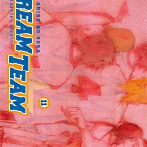 DREAM TEAM - TOME 11