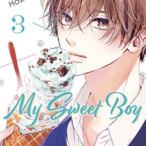 MY SWEET BOY - TOME 3 (VF)
