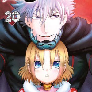 008 : APPRENTI ESPION - TOME 20