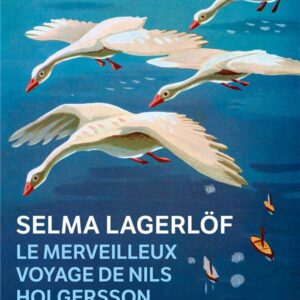 LE MERVEILLEUX VOYAGE DE NILS HOLGERSSON A TRAVERS LA SUEDE