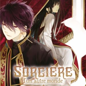 SORCIERE D'UN AUTRE MONDE T04