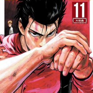 ONE-PUNCH MAN - TOME 11 - VOL11